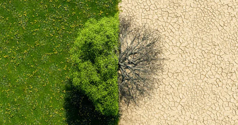 Global warming: il conto è già arrivato